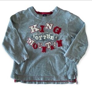 GAP “King of the Mountain” long sleeve tee; size: 3T